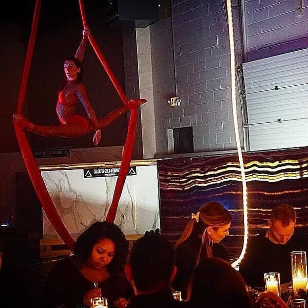 Jesse, Aerial Silks, UGK Underground Kitchen